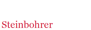 Steinbohrer
